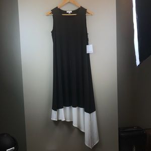 Calvin Klein Black and White Colorblock Dress